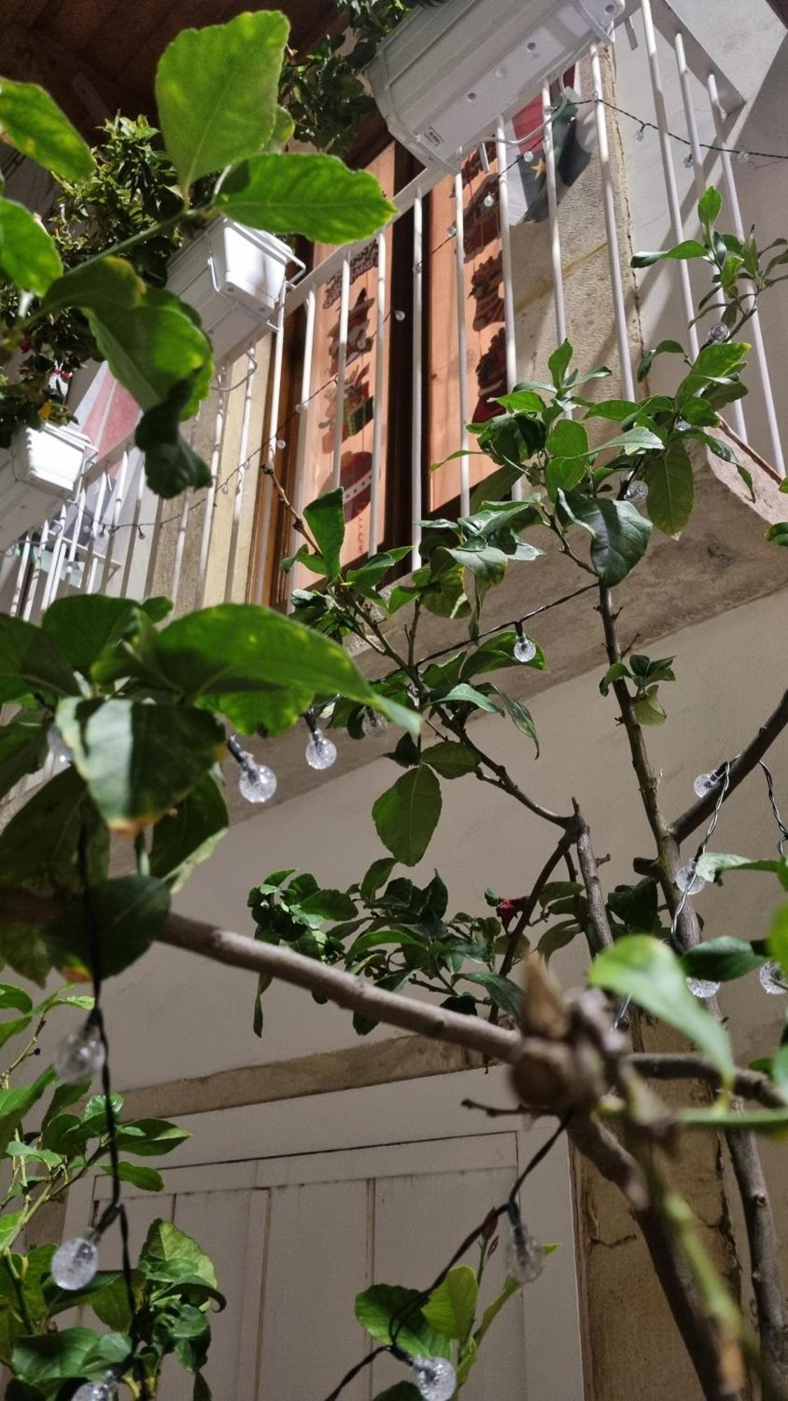 Ferienwohnung In Parva Domus Bitonto Exterior foto